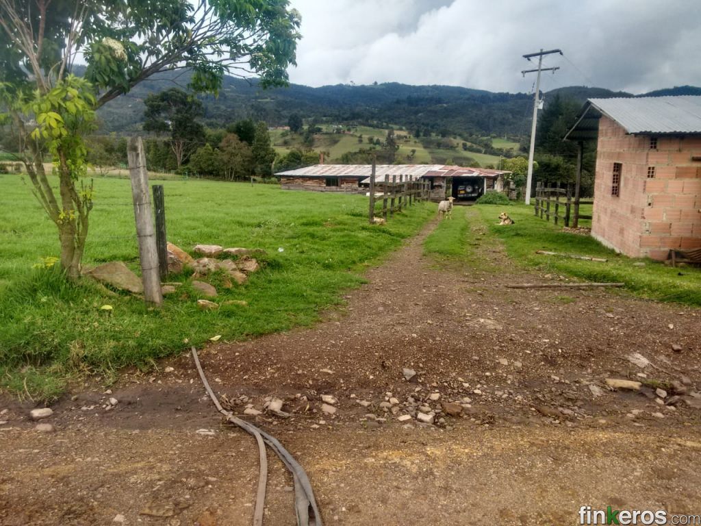 VENTA FINCA GUASCA CUNDINAMARCA VEREDA TRINIDAD - Finca en Guasca, Cundinamarca
